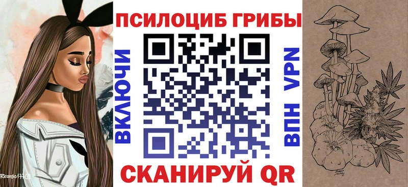 Псилоцибиновые грибы Cubensis  сколько стоит  мориарти какой сайт  Урус-Мартан 